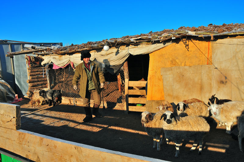 Mongolie